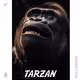0x6a10d7cfc8845b8c921205818001a0bc2b6c84b0