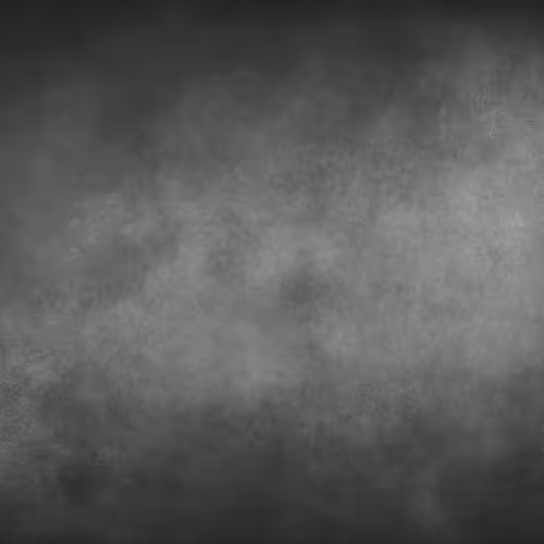 OpenSea banner for @ANiMAL