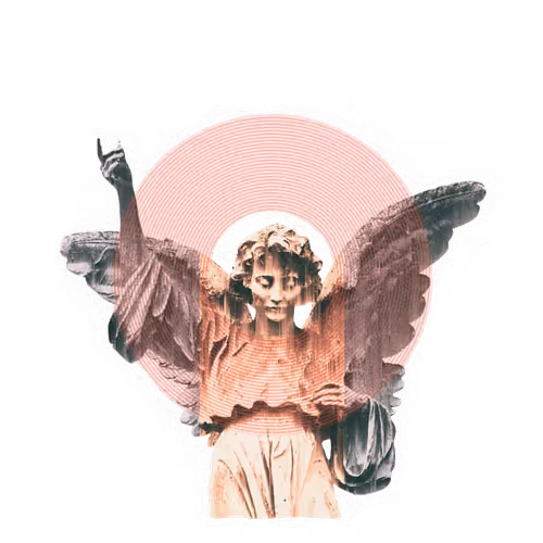 OpenSea profile picture for @Prune