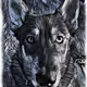 Crypto_Wolff