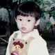 ArkWptop