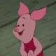 piglett-