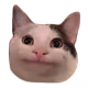 emmmmma