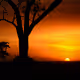 AmongSuS123