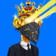 OxPhr33dom