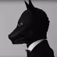 DavyBankCrypto