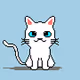 CryptoMadcat