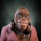 PukaKong