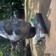 UNaMed_2
