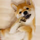 naomix