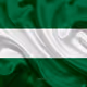 NFT_BO