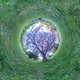 360artist