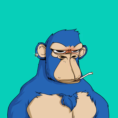 OpenSea profile picture for @NDV