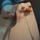 s0yasumi
