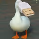 Pato_Crypto