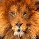 0x6be76efff39b2104a9e212dca431d0b807c6ad45