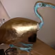 DodoFlippers