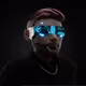 sharma93
