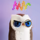 HDDNWHLE