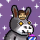 0xDonk