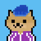 funky_fresh_doge