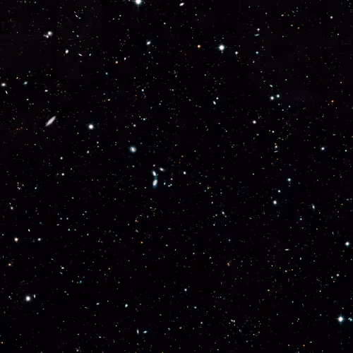 OpenSea banner for @napkins