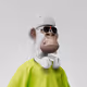 Zikzaktr