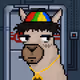 ScrappyCoco_NFTS
