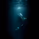 FishyGuy
