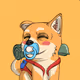 ROCCO_SMART