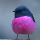 0x6cba586e68133fa0cb0d80cba518958518e41a24