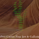 VelvetCactusFineArt
