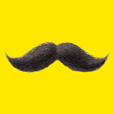 OpenSea profile picture for @Stash