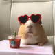 chillypetr