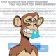 Premium404
