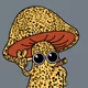 ShroomBoi