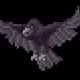 raven___