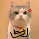kKkpPp95