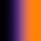 rhinophoenix