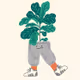 PlantyPantz