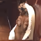 Jarrjar