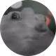 MarinaRewanna