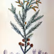 cryptomeria