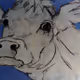 uddernonsense