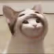 stopidgorl1