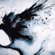 Lonely_Raven