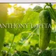 AnthonyLopeta