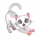 Sizecat_OTC