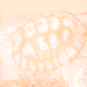 0x6dedbfb5df4c6002792cf5e43d3921d3b50eaf7c
