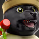 DutchNFTSniper